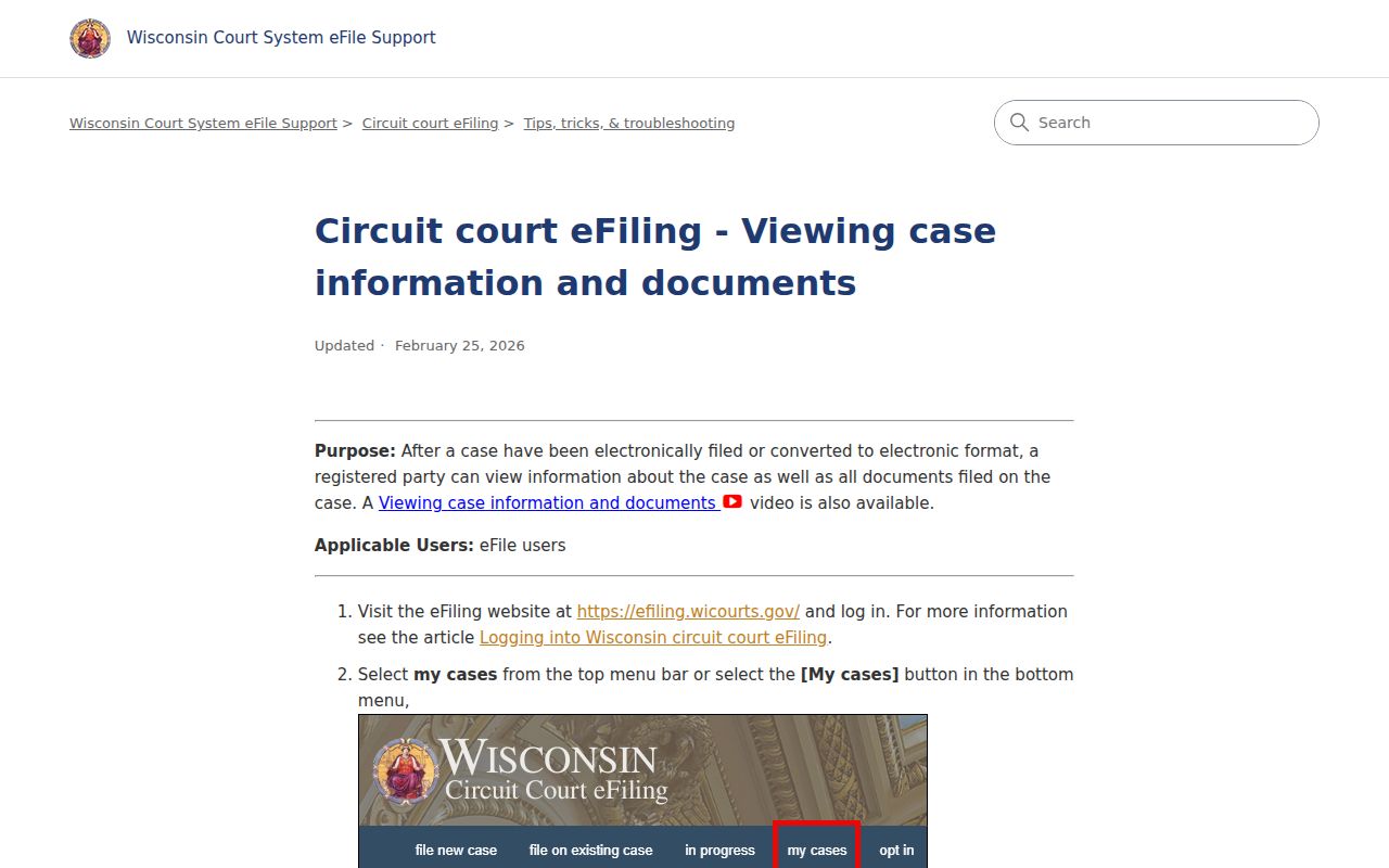 Wisconsin eFiling My Cases and document viewing controls used for Dunn County filings